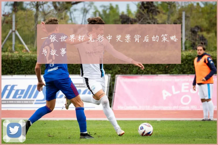 一张世界杯竞彩中奖票背后的策略与故事