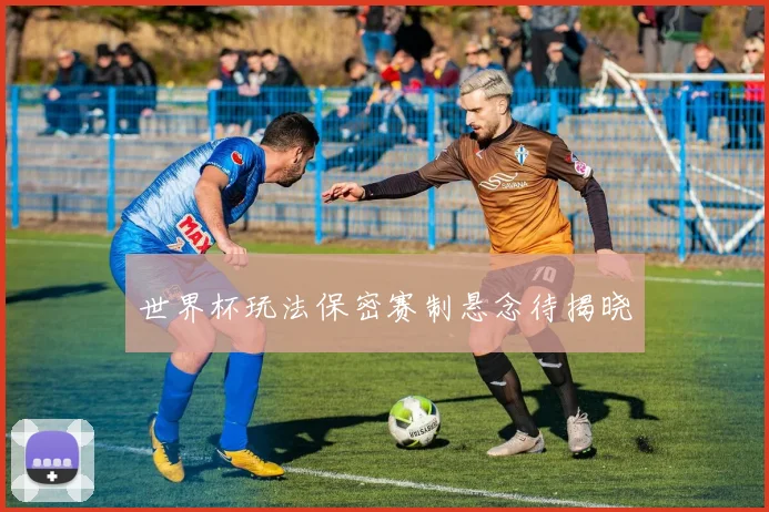 世界杯玩法保密赛制悬念待揭晓