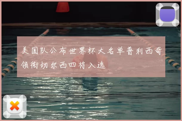 美国队公布世界杯大名单普利西奇领衔切尔西四将入选