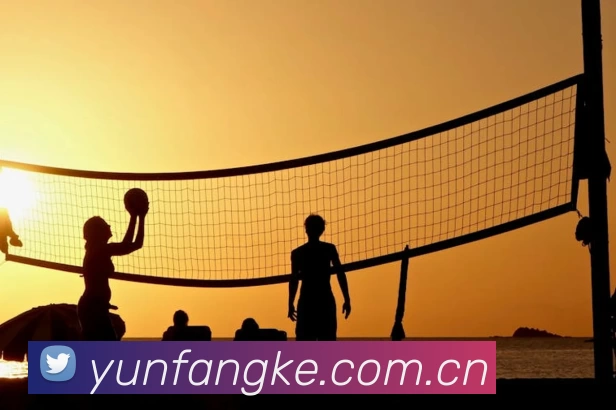 滚球买球的app官网发展历程